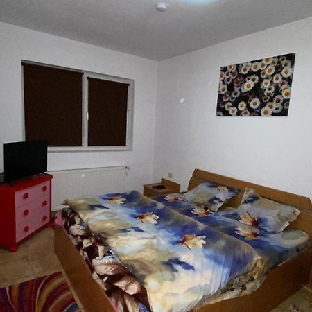 Apartament Cochet Appartement Boekarest Buitenkant foto
